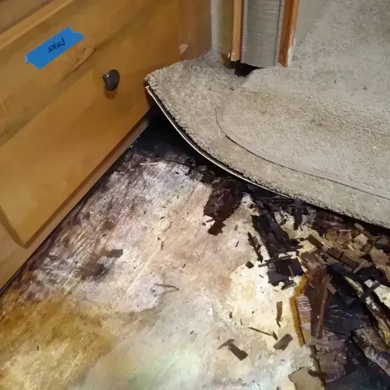 Wood Floor Water Damage in Trooper, PA